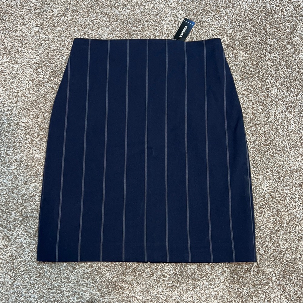 NWT Vertical Stripe Skirt
